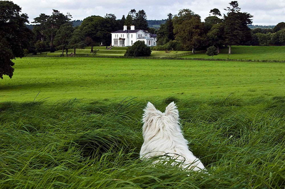 Coolclogher House View