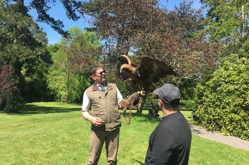 Falconry at Coolclogher