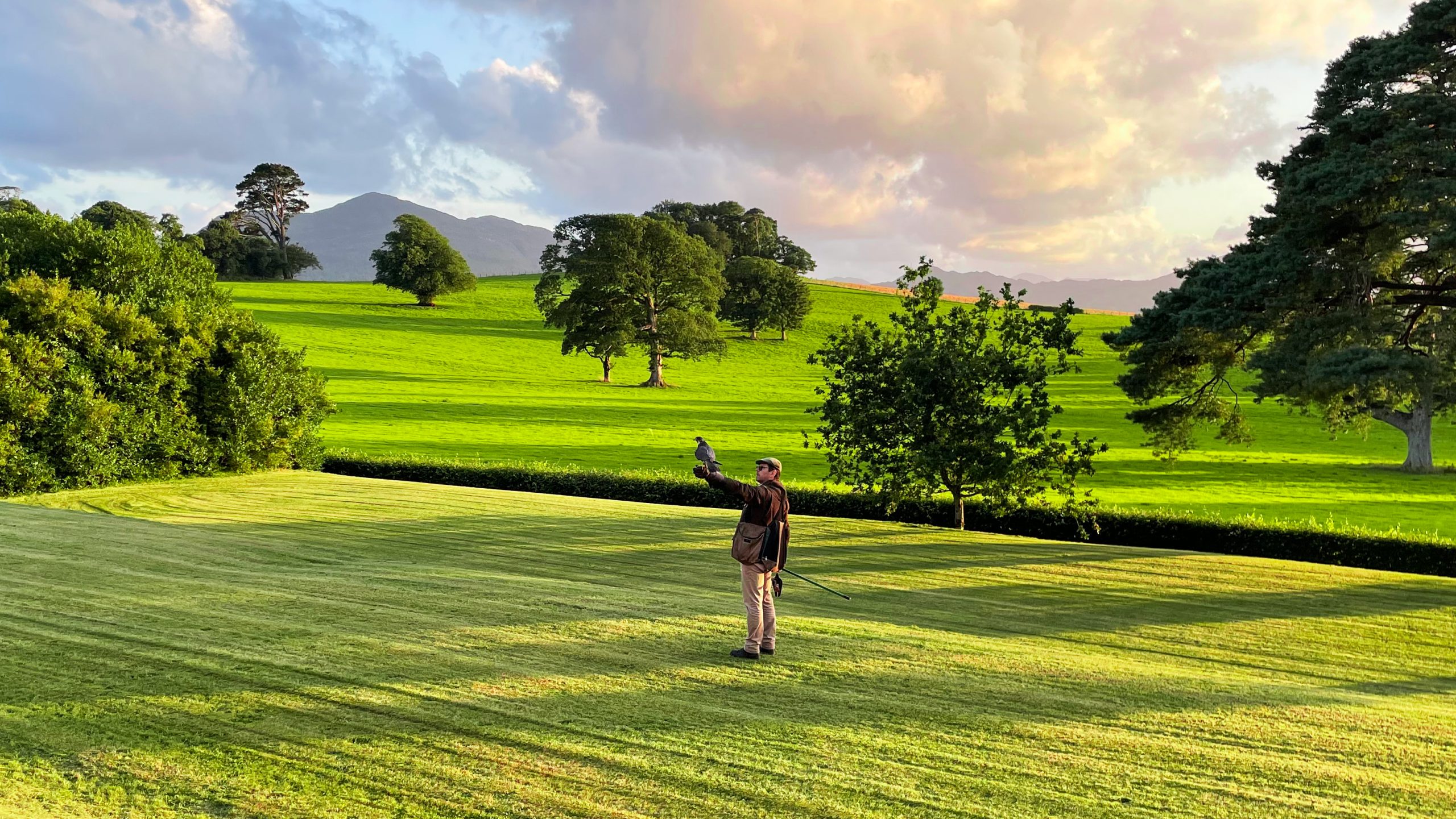 Falconry a Coolclogher House