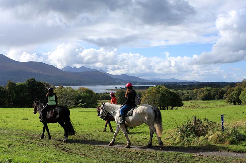 Horseriding Killarney