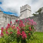 Muckross Abbey