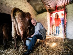 muckross-traditional-farms-killarney-national-park-co-kerry_ti7ror