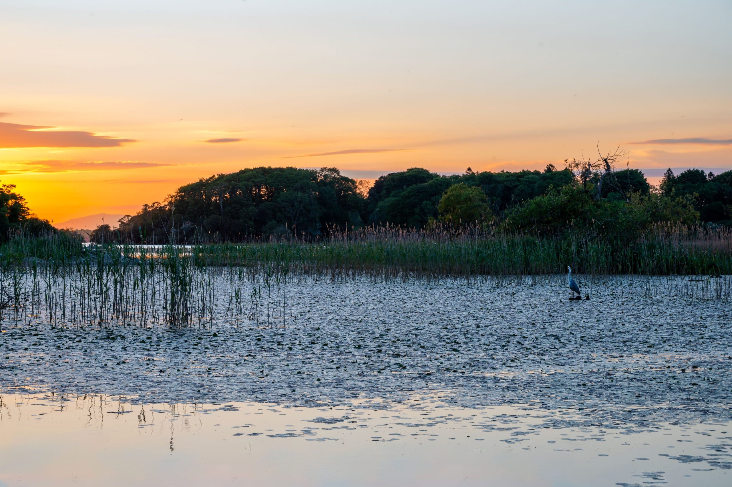 Lough Leane Lough Leane